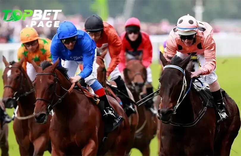 Chiến lược và mẹo cá cược trong đua ngựa Royal Ascot