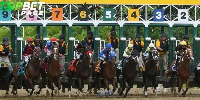 Đua ngựa Preakness là chặng đua thứ hai thuộc chuỗi Triple Crown danh giá tại Mỹ 